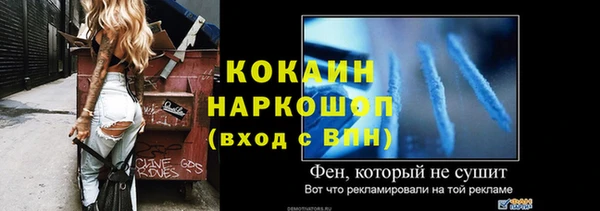 ALPHA PVP Няндома