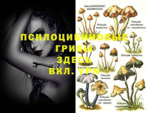 шишки Алзамай
