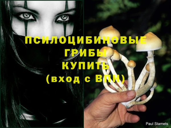 эйфоретик Нягань