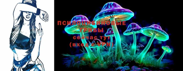 дурь Алексин