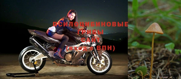 mdma Нязепетровск