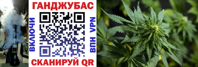 Бошки Шишки сатива  купить закладку  omg вход  Анадырь 